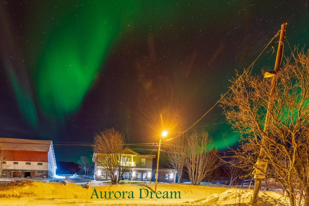Apartamento Aurora Dream Svensby Exterior foto